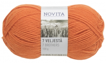 Novita 7 Veljestä 100g